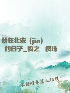 我在北宋進(jìn)貨的日子